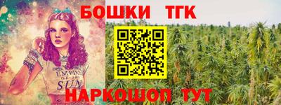 индика Обнинск