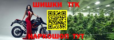 индика Обнинск