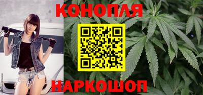 индика Обнинск