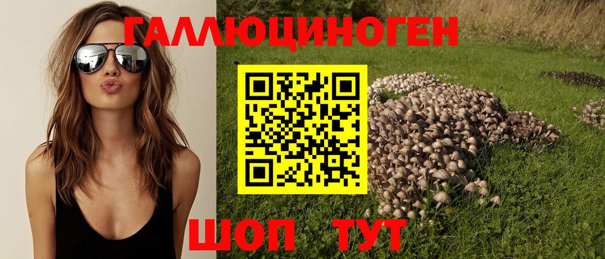 Галлюциногенные грибы Cubensis  Вход с VPN  Пенза  Галлюциногенные грибы мицелий 