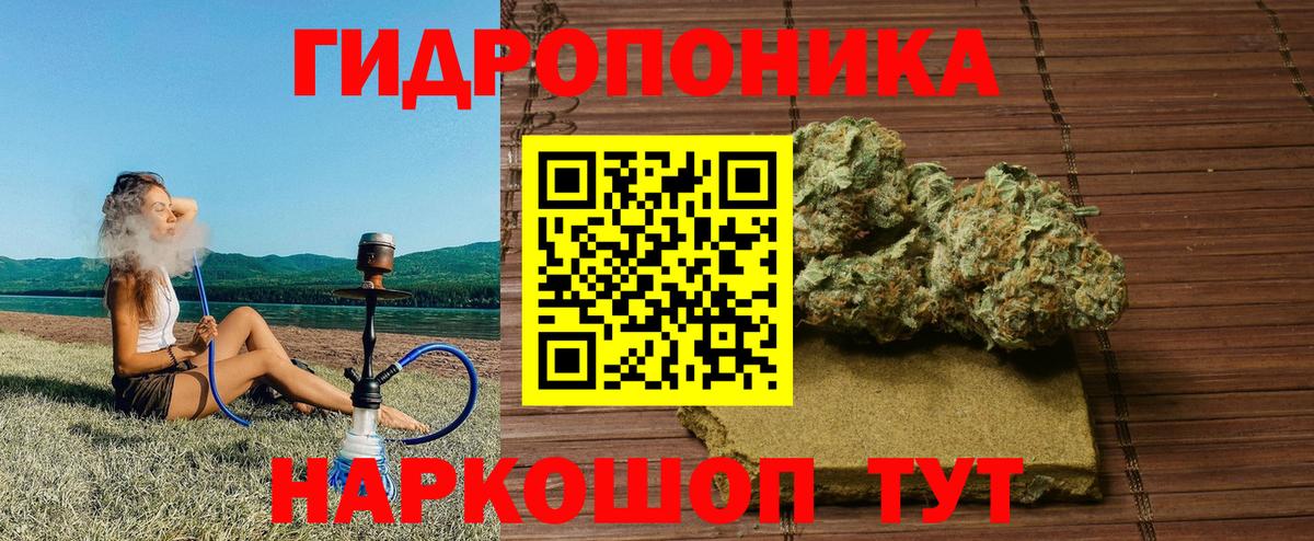 Конопля семена  Вход с VPN  Каннабис White Widow  Пенза  Конопля Amnesia 